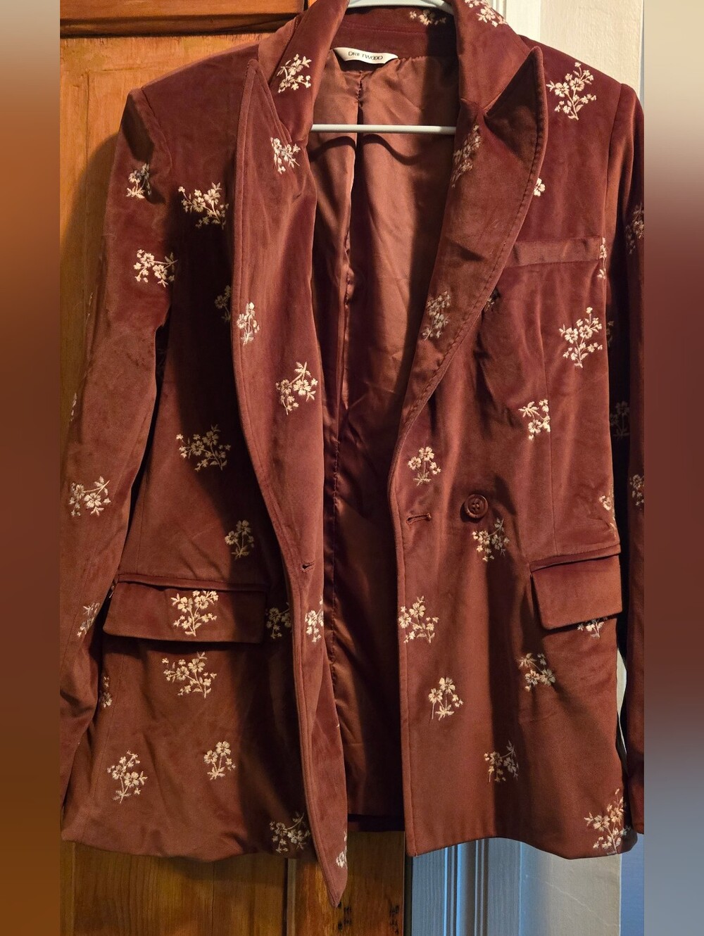 Driftwood Embroidered Velvet Blazer Jacket in Rust